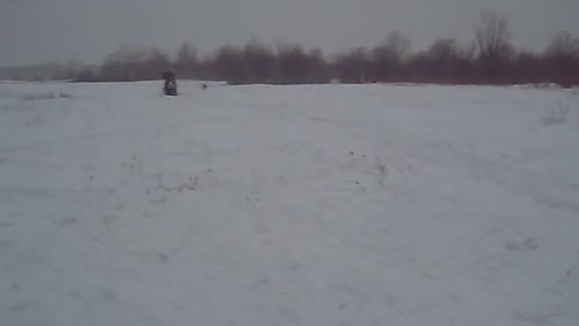 мотособака, мотомонстрик смотреть онлайн