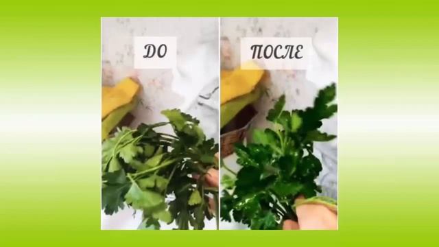 СЕКРЕТЫ ПРИМЕНЕНИЯ МУЛЬТИОНАЙЗЕРОВ смотреть онлайн