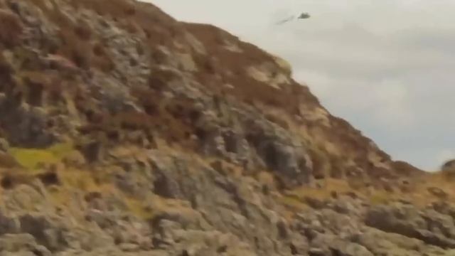 Арктика Тундра Гренландия особенности выживания животных Arctic Tundra Greenland , animal surviva смотреть онлайн