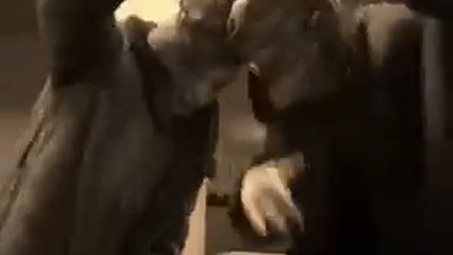 У меня есть яйца смотреть онлайн