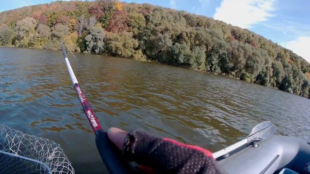 Щука, жерех, судак и окунь на джиг и ратлин. 7,805кг взвешивание монстра судака. смотреть онлайн