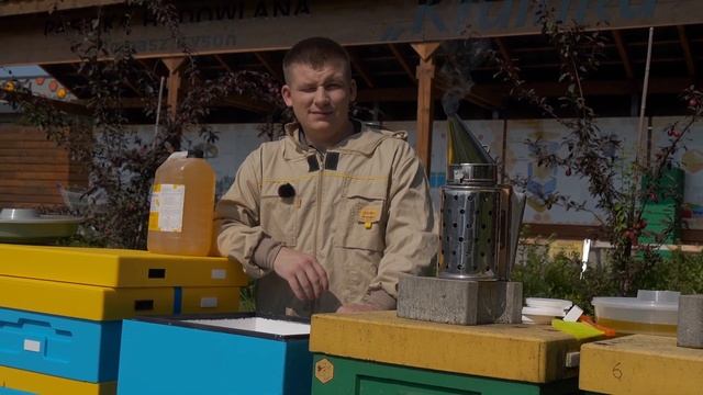 Корпусная кормушка для улья Lyson