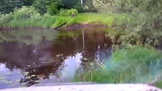 Шушморские хроники 2014 смотреть онлайн