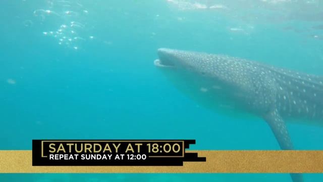 Explore Philippines' Cebu Island with us | Top Billing смотреть онлайн