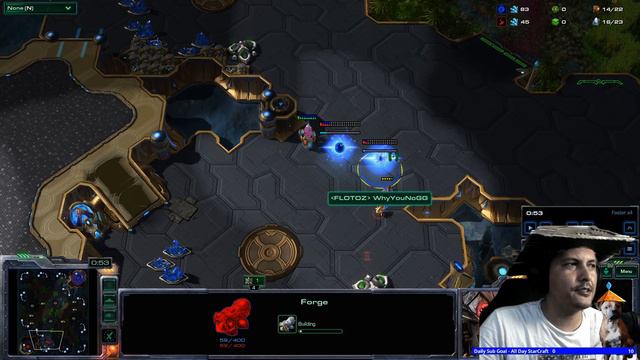 StarCraft 2 Protoss vs Zerg Counter the counter смотреть онлайн