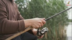 Как Ловить где искать крупного Карася. Места кормёжки крупного Карася.
