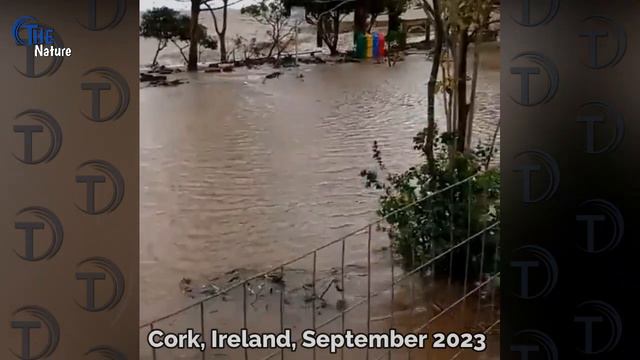 Ireland mourns! Sotrm Agnes leaves Cork battered, City residents are in evacuation смотреть онлайн