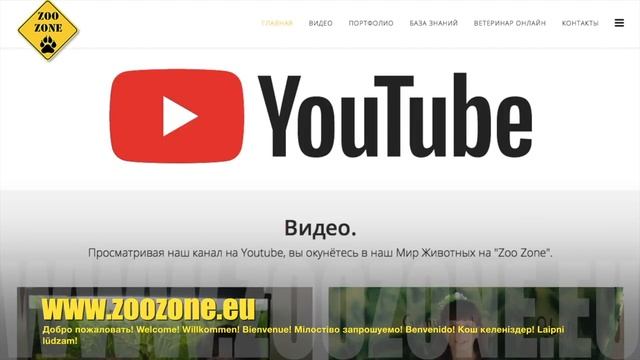 Встреча в лесу. Что делать при встрече с диким животным в лесу. смотреть онлайн