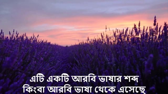 সাফওয়ান নামের অর্থ কি, ইসলামি আরবি বাংলা অর্থ ? Safwan Name Meaning Islam In Bengali. Abdullah BD.