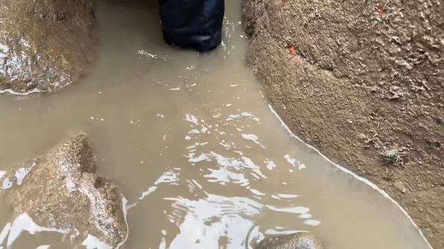 【海島輝少】價值八百龍躉石斑打窩，擒獲三十斤鮸魚，魚貨爆桶，怒賺一波 смотреть онлайн