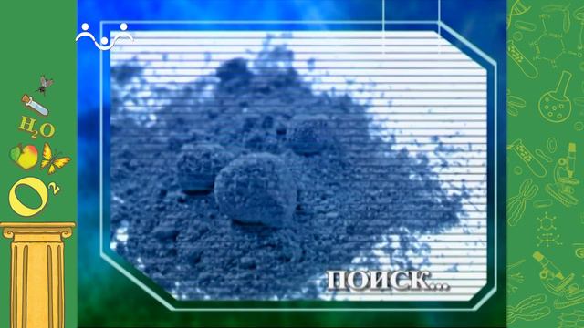 АЗН. Биология. У кого самый хороший аппетит. Шафран. Малая панда смотреть онлайн