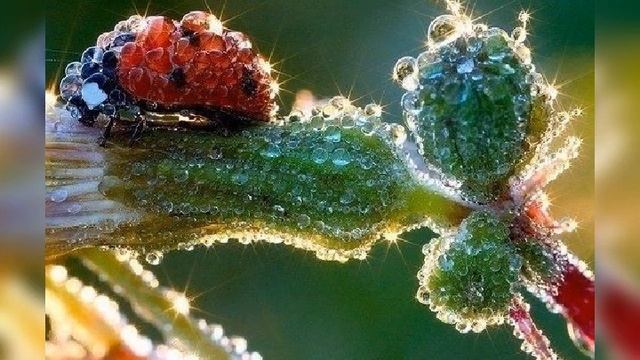 Красивая грустная мелодия смотреть онлайн