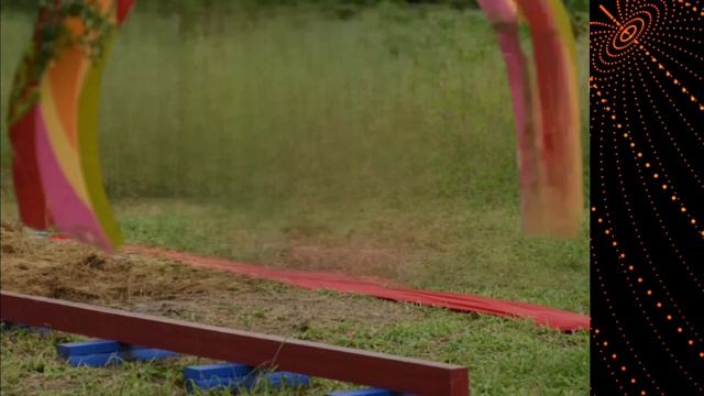 Звезды в Африке. Mp4