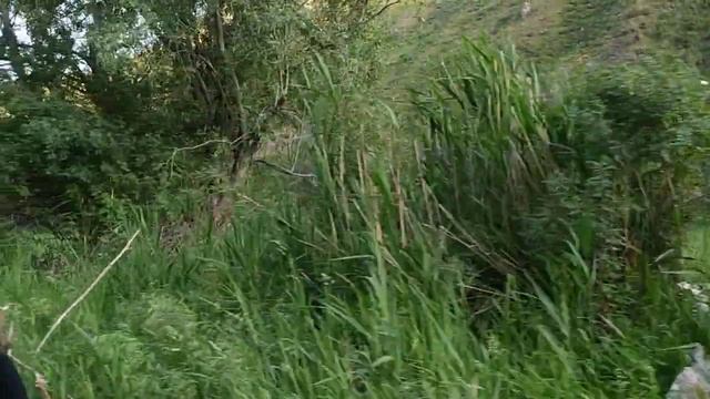 Кара-Кулжа району Көңдүк айылы. смотреть онлайн