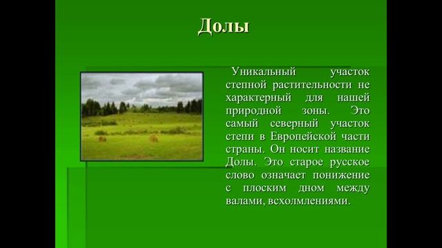 Онлайн-экскурсия «Этот удивительный мир заповедника» смотреть онлайн