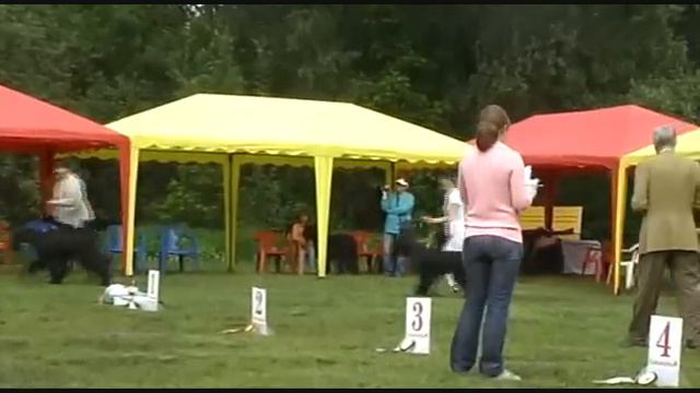 DogStatus.ru: День ризеншнауцера-2010