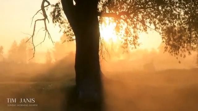 Beautiful Relaxing Hymns, Peaceful Instrumental Music, "Monday Morning Sunrise" By Tim Janis смотреть онлайн