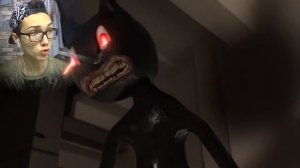 ЖУТКИЙ ФИЛЬМ МУЛЬТЯШНЫЙ КОТ! ЗАПРЕТНЫЙ ФИЛЬМ! МУЛЬТЯШНЫЙ КОТ В РЕАЛЬНОЙ ЖИЗНИ! ДРОН СНЯЛ CARTOON CA