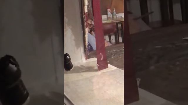 Майра тате день рождения! смотреть онлайн