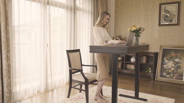FlexiSpot Bureau Rétro à Hauteur Réglable EHD5