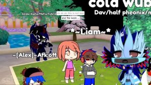 The Roblox Gacha Experience