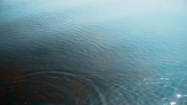 Астрахань 2016 весна. Со звуком. Сначала рыбалка, потом ржачка смотреть онлайн