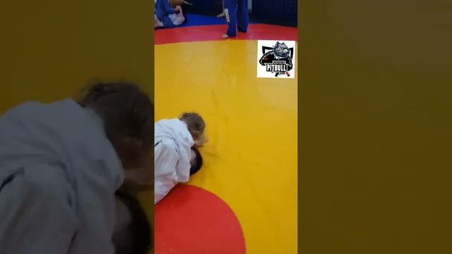SAKHALIN PITBULL BJJ школа бразильского джиу-джитсу г. Южно-Сахалинск #bjj #jiujitsu #sakhalin