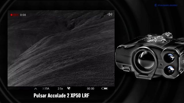 Волки напали на стадо баранов. Охотники успели вовремя, выстрелы в кадре!Охота на волка в Дагестане смотреть онлайн