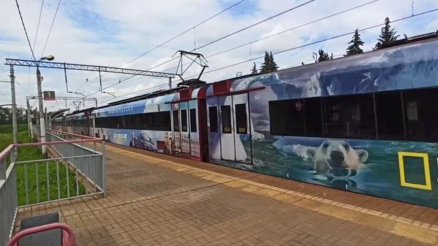 Аэроэкспресс в Домодедово смотреть онлайн
