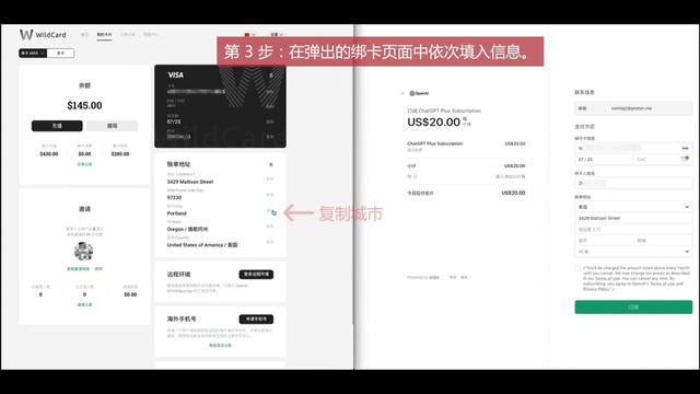 使用VISA虚拟信用卡WildCard订阅ChatGpt Plus教程 смотреть онлайн