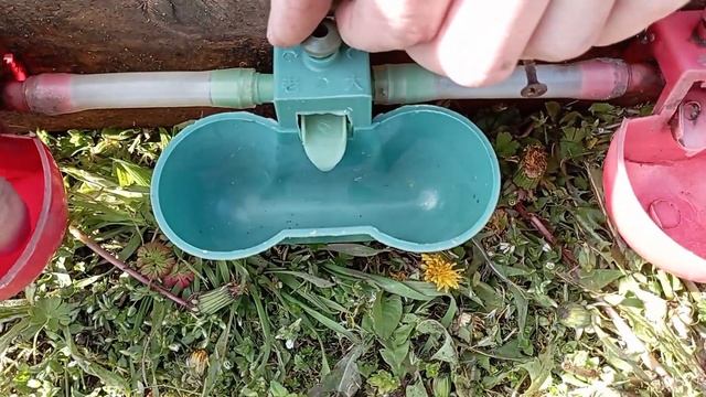 Самые лучшие поилки для кур. Установил автоматические поилки для кур. смотреть онлайн