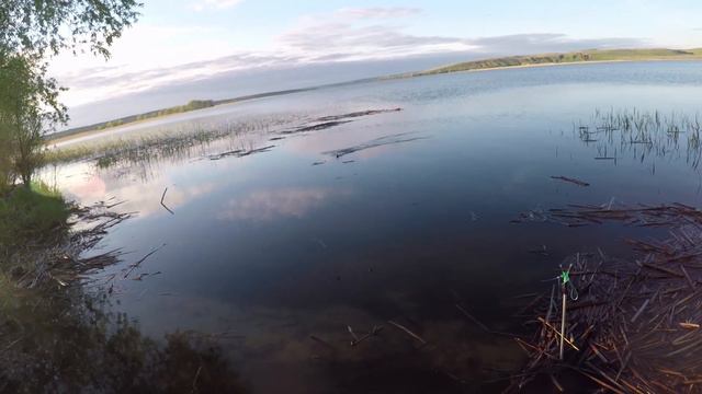 ВОТ ЭТО КАБАНЫ! ЛОВЛЯ КАРАСЯ НА ДОНКИ смотреть онлайн