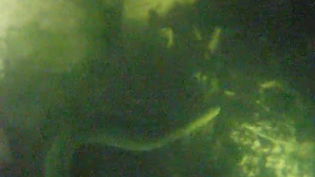 Easy-Divers-Tour, Aal im Edersee смотреть онлайн