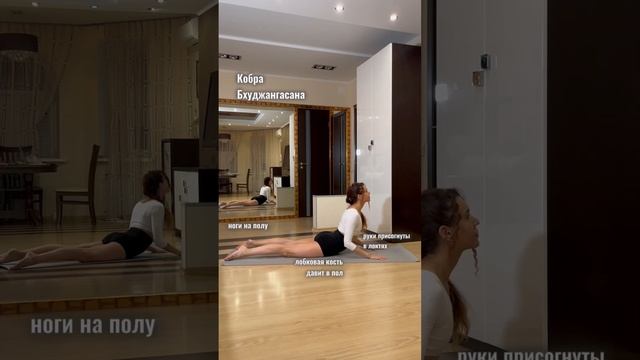 Бхуджангасана (поза Кобры) и УрдхваМукха Шванасана (поза Собака мордой вверх). В чём разница!? #йог смотреть онлайн