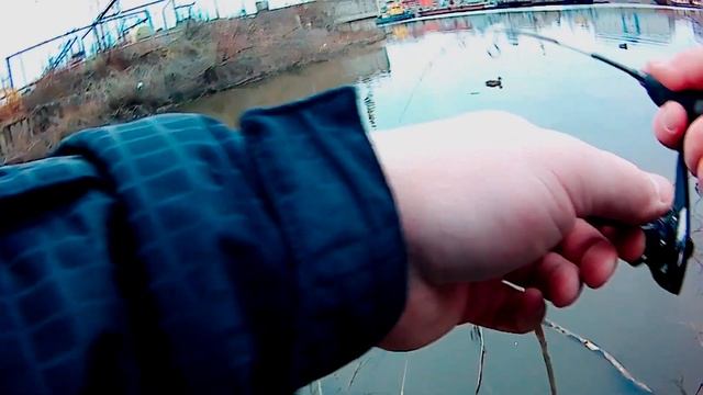Река Шограш. Голодные "шнурки" на речке-говнетечке. смотреть онлайн