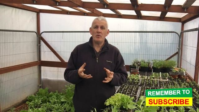 How To Make An AMAZING Hanging Basket - Provide A Beautiful Colourful Display Every Time #84