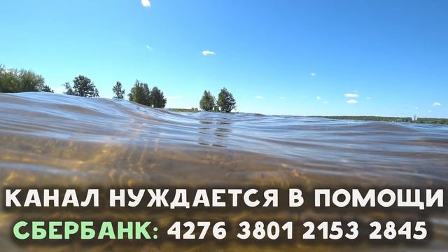 Где ДРУЗЬЯ, где БЛИЖНИЕ, а где ВРАГИ? С кем дружить - Пестов смотреть онлайн