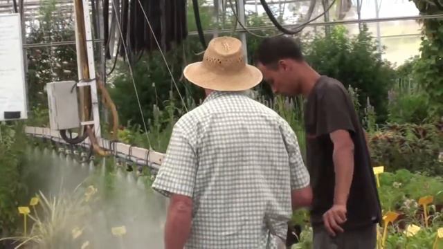7 RAZONES POR LA QUE LA STEVIA ES MEJOR QUE EL AZUCAR REFINADO. смотреть онлайн