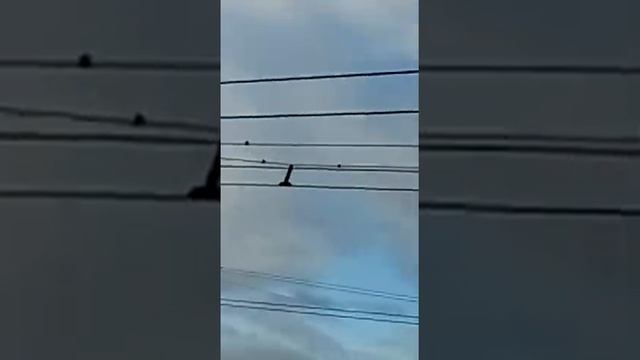 Весна пришла Стрижи прилетели смотреть онлайн