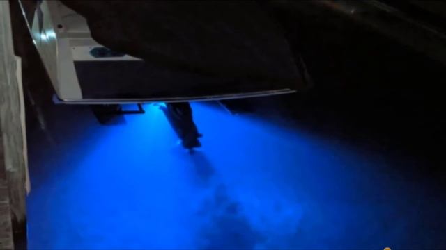 Top 10 Best Boat Underwater Lights Review in 2023 смотреть онлайн