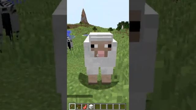 Новый Способ Добычи Шерсти в Майнкрафт #Shorts смотреть онлайн