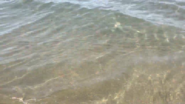 Анапа. Витязево. 31 июля 2022 г. смотреть онлайн