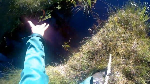 тестирование искусственного опарыша смотреть онлайн