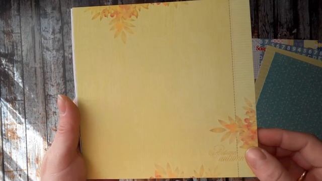 Скрапбукинг/ обзор бумаги/ Scrapberrys School Days