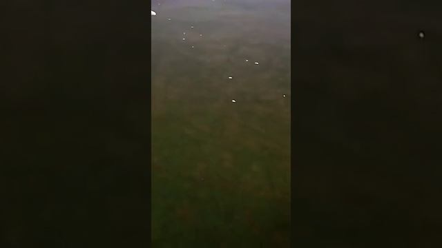 Мама мне сказала, если я пойду в армию, то я буду очень серьезным... смотреть онлайн