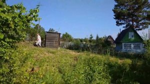 Женькина дача. 2 серия. Наша дача.