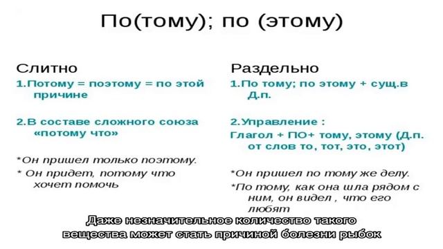 Как чистить аквариум с пресной и соленой водой: инструкция. Как почистить аквариум при помощи рыбо. смотреть онлайн