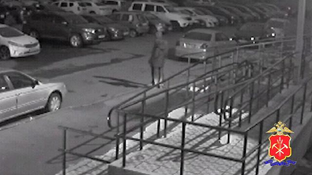 В Кемерове по ходатайству следователя заключен под стражу подозреваемый, за кражу самокатов смотреть онлайн