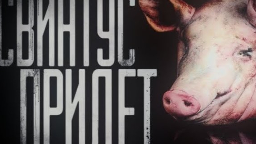 СВИНТУС ПРИДЕТ....