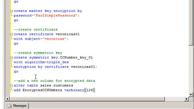 Video09 -- SQL Server 2008 Data Encryption смотреть онлайн